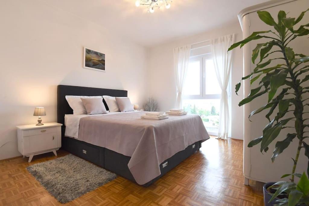 Apartment Ilijana *