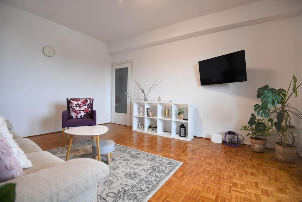 Apartment Ilijana *