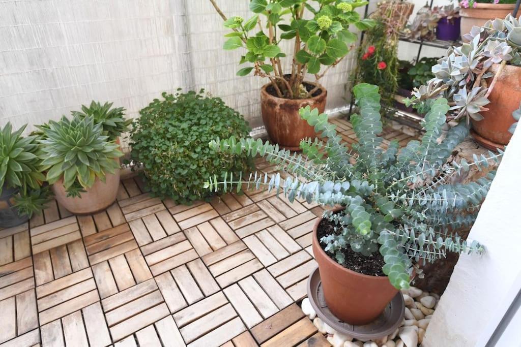 Appartement Ilijana Zadar